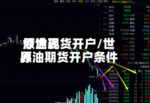 炒世界原油现货开户/世界原油期货开户条件-第2张图片