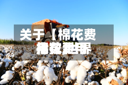 关于【棉花费用指数,世界棉花费用指数】-第2张图片