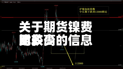 关于期货镍费用比较高时多少的信息-第2张图片