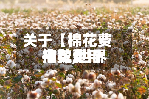 关于【棉花费用指数,世界棉花费用指数】