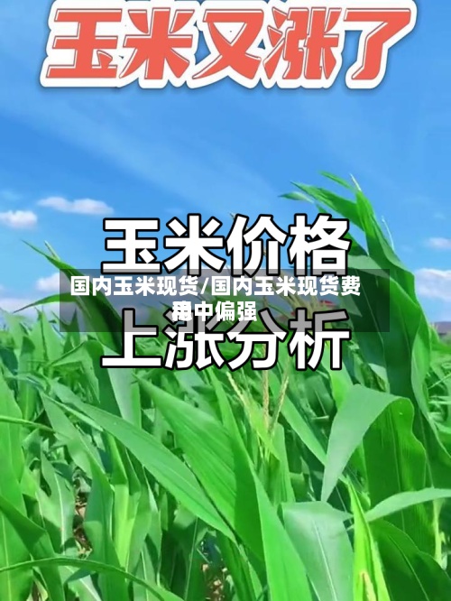 国内玉米现货/国内玉米现货费用
稳中偏强-第2张图片