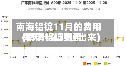 南海铝锭11月的费用(南海铝锭费用每天什么时候出来)