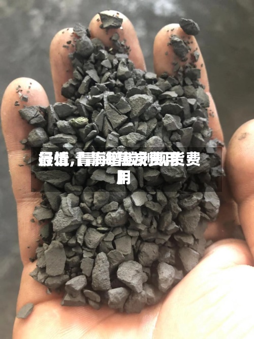 最近【青海焦炭费用行情,青海增碳剂现货费用】-第2张图片