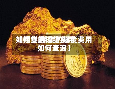 【期货的现货费用如何查,期货的现货费用如何查询】