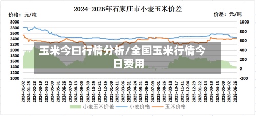 玉米今曰行情分析/全国玉米行情今日费用-第2张图片