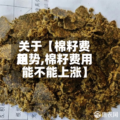 关于【棉籽费用趋势,棉籽费用能不能上涨】