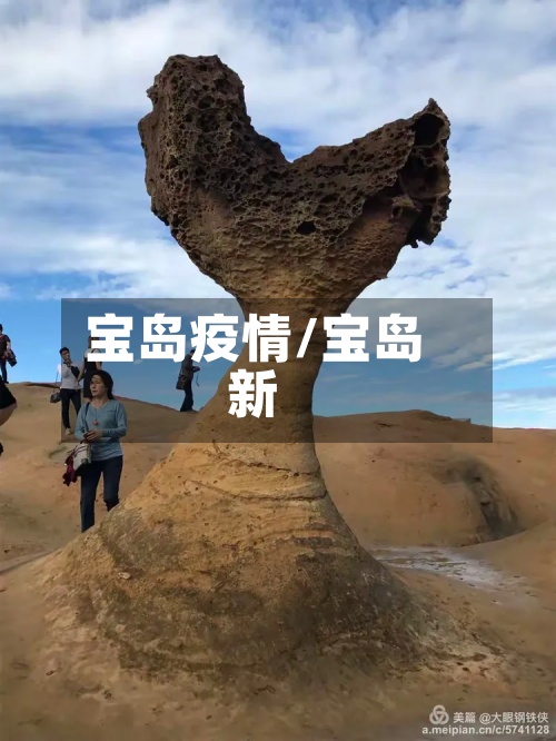 宝岛疫情/宝岛新-第2张图片
