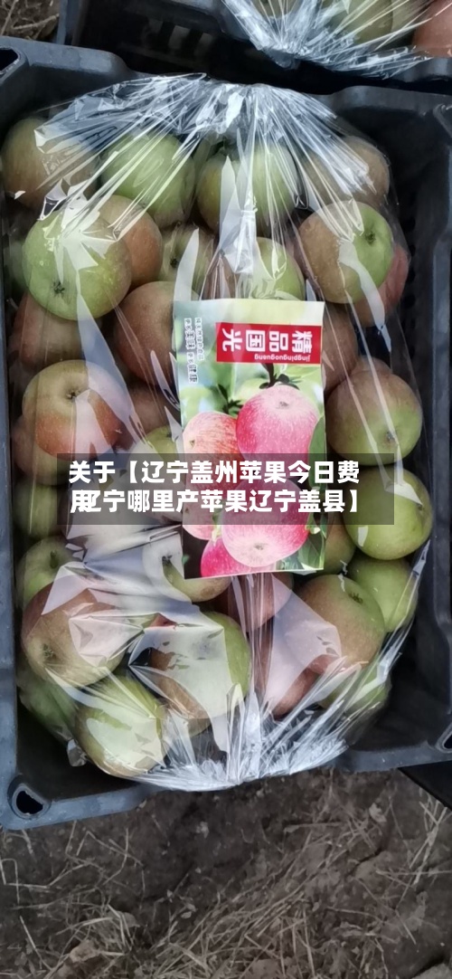 关于【辽宁盖州苹果今日费用,辽宁哪里产苹果辽宁盖县】-第3张图片