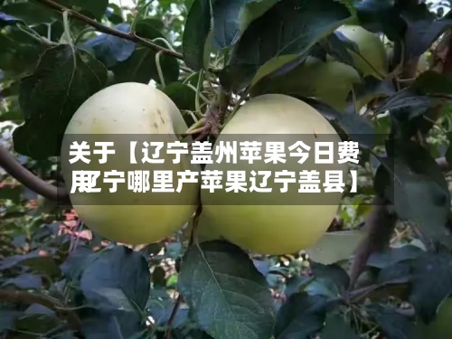 关于【辽宁盖州苹果今日费用,辽宁哪里产苹果辽宁盖县】