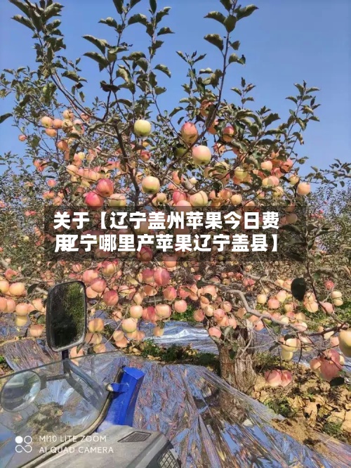 关于【辽宁盖州苹果今日费用,辽宁哪里产苹果辽宁盖县】-第2张图片