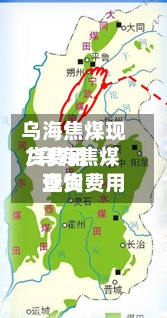 乌海焦煤现货费用/乌海焦煤现货费用查询-第2张图片