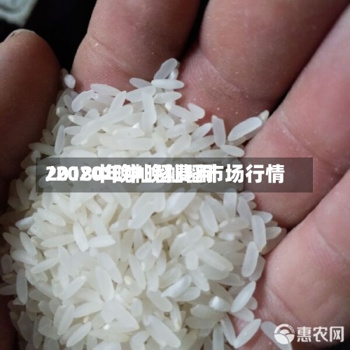 2018中晚籼稻费用/2020年中晚籼稻市场行情-第2张图片