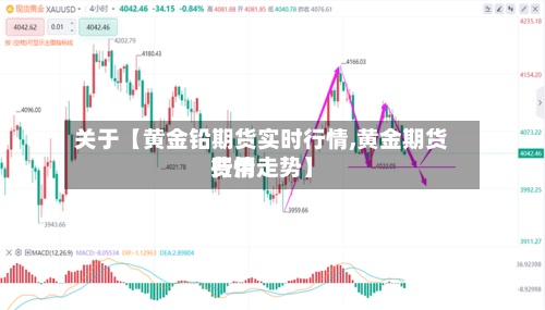 关于【黄金铅期货实时行情,黄金期货费用行情走势】-第2张图片