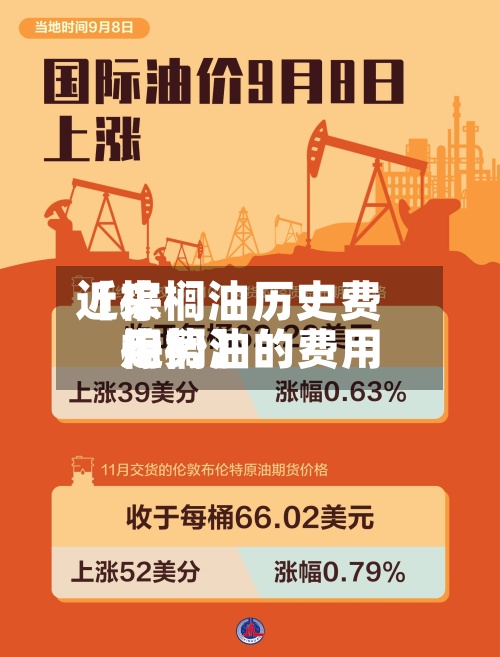 近来【棕榈油历史费用棕榈油的费用走势】-第2张图片