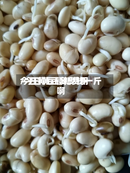 今日黄豆最新费用/今日黄豆多少钱一斤啊-第3张图片