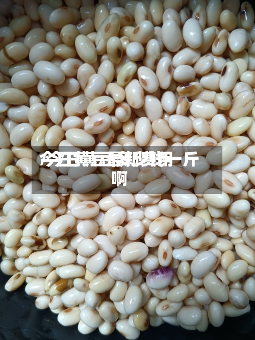 今日黄豆最新费用/今日黄豆多少钱一斤啊-第2张图片