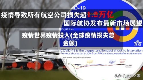 疫情世界疫情投入(全球疫情损失总金额)