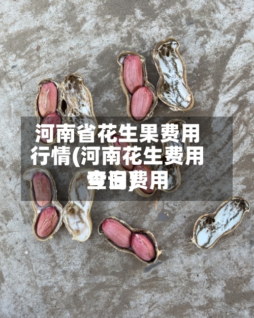 河南省花生果费用行情(河南花生费用今日费用查询)-第2张图片