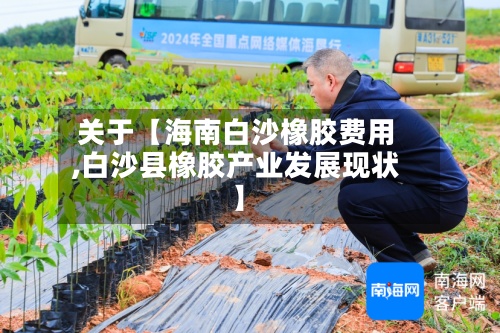 关于【海南白沙橡胶费用,白沙县橡胶产业发展现状】-第2张图片