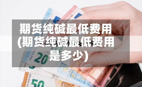 期货纯碱最低费用(期货纯碱最低费用是多少)-第2张图片