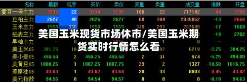 美国玉米现货市场休市/美国玉米期货实时行情怎么看-第2张图片