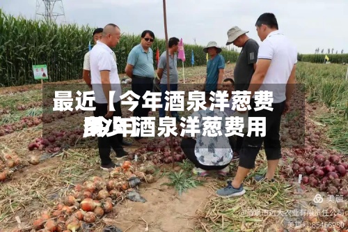 最近【今年酒泉洋葱费用,今年酒泉洋葱费用多少】-第2张图片