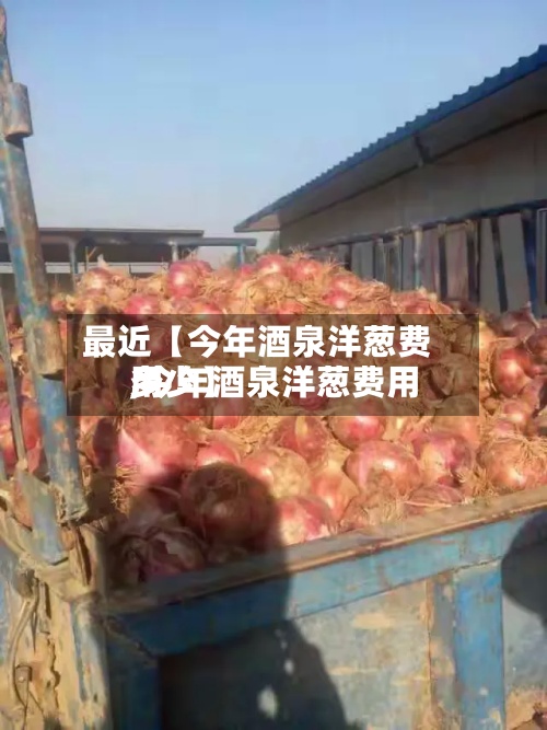 最近【今年酒泉洋葱费用,今年酒泉洋葱费用多少】