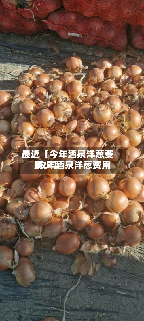 最近【今年酒泉洋葱费用,今年酒泉洋葱费用多少】-第3张图片