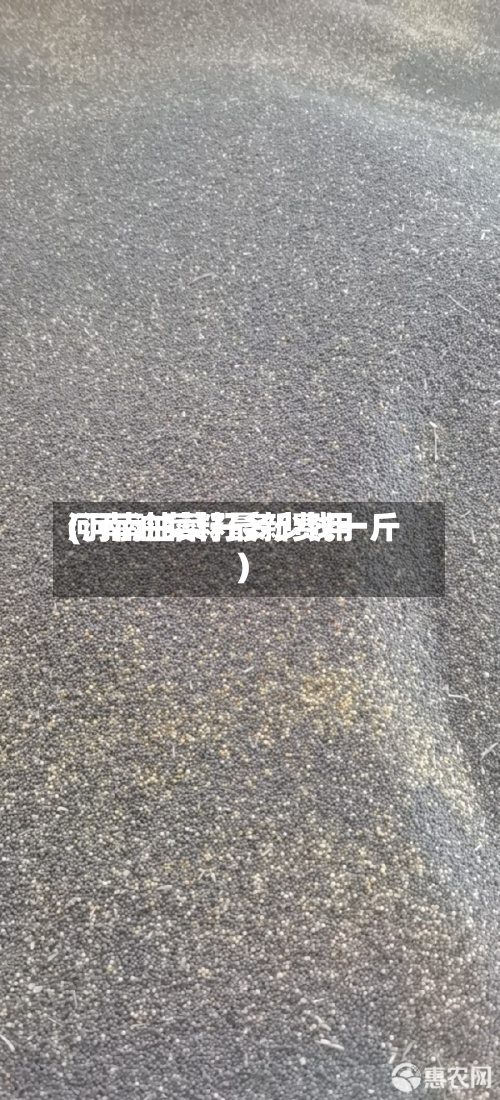 河南油菜籽最新费用(河南油菜籽多少钱一斤)-第2张图片