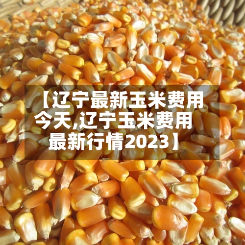 【辽宁最新玉米费用今天,辽宁玉米费用最新行情2023】