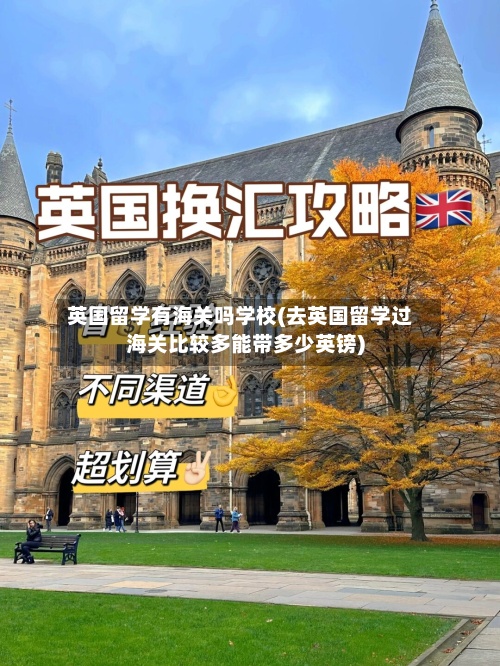 英国留学有海关吗学校(去英国留学过海关比较多能带多少英镑)