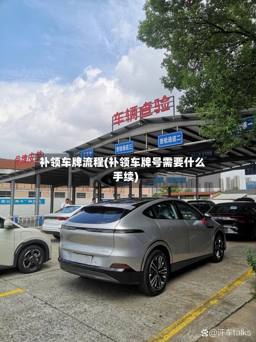 补领车牌流程(补领车牌号需要什么手续)