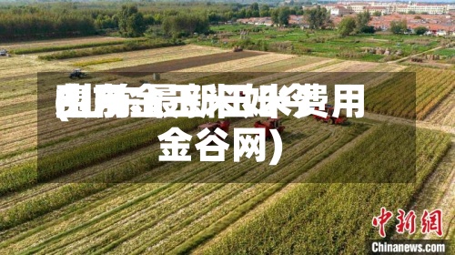山东金玉米如今费用(山东最新玉米费用金谷网)