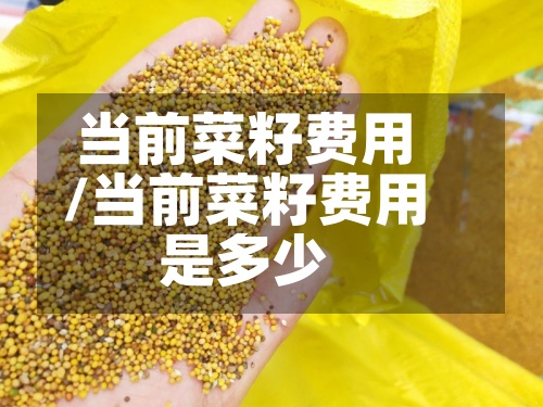当前菜籽费用/当前菜籽费用是多少-第2张图片