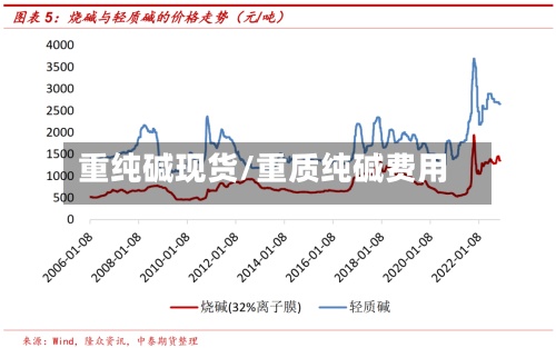 重纯碱现货/重质纯碱费用-第3张图片