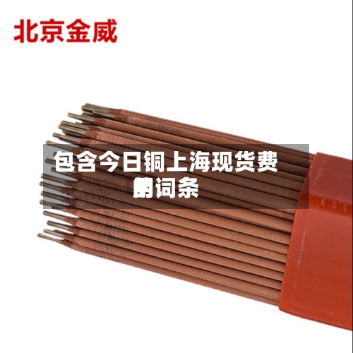 包含今日铜上海现货费用的词条