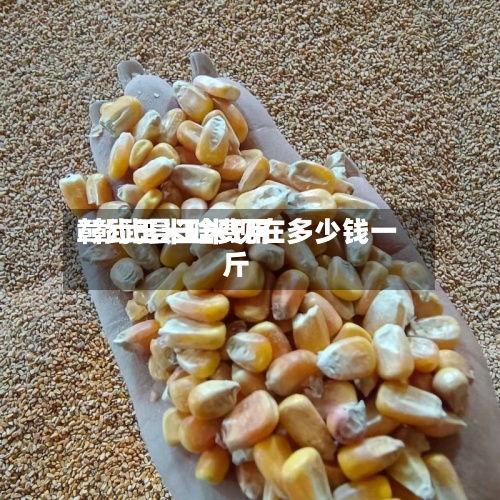 彰武玉米啥费用/彰武县玉米现在多少钱一斤-第3张图片