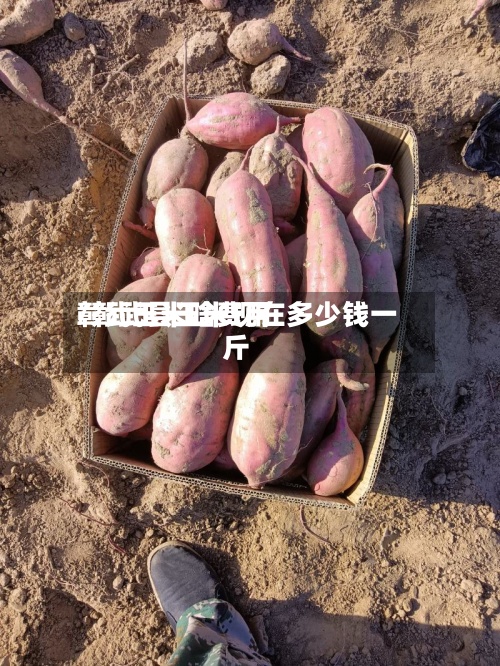 彰武玉米啥费用/彰武县玉米现在多少钱一斤-第2张图片