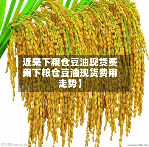 近来【天下粮仓豆油现货费用天下粮仓豆油现货费用走势】
