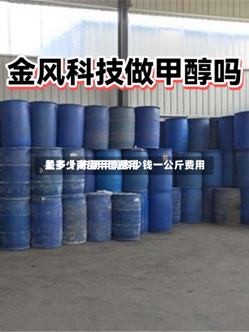 关于【商品甲醇费用是多少,市场甲醇多少钱一公斤费用】-第2张图片