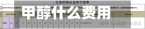 甲醇什么费用/甲醇什么费用是正常的-第3张图片