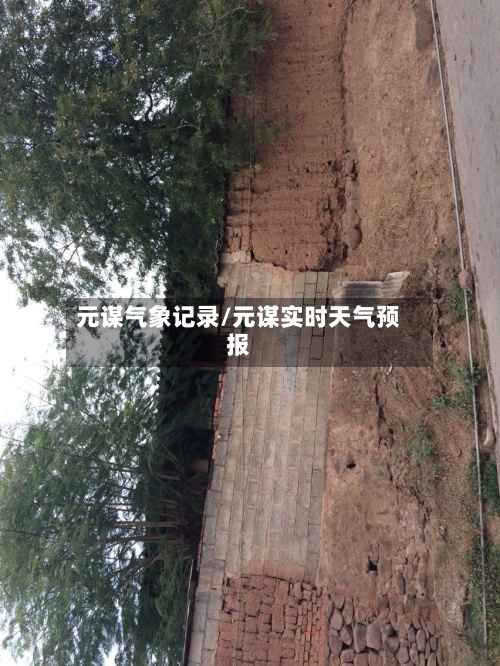 元谋气象记录/元谋实时天气预报