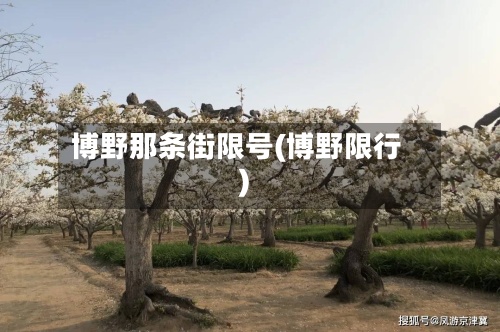 博野那条街限号(博野限行)-第2张图片