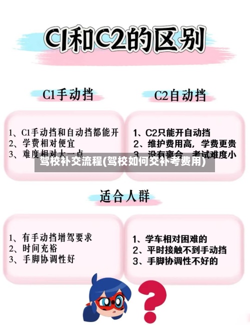 驾校补交流程(驾校如何交补考费用)