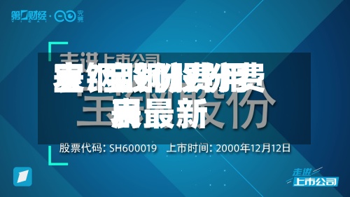 宝钢股份费用表/宝钢股份费用表最新