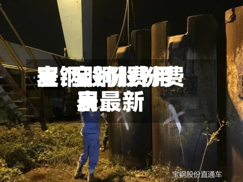 宝钢股份费用表/宝钢股份费用表最新-第3张图片