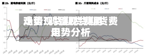 鸡蛋现货期货费用走势/鸡蛋现货期货费用走势分析-第2张图片