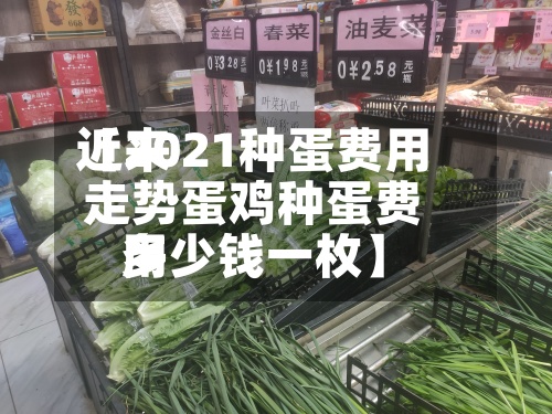 近来【2021种蛋费用走势蛋鸡种蛋费用多少钱一枚】