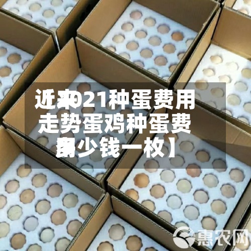 近来【2021种蛋费用走势蛋鸡种蛋费用多少钱一枚】-第3张图片