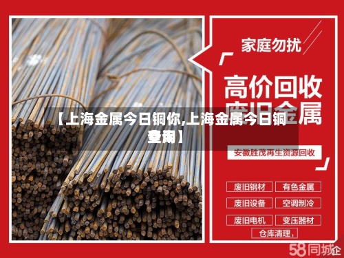 【上海金属今日铜你,上海金属今日铜费用查询】